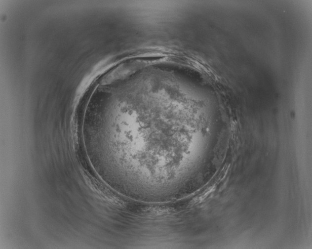 X0000068900343200605081351