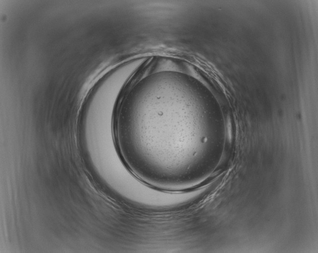 X0000068900344200605081351