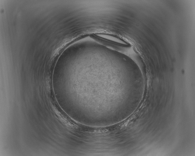 X0000068900345200605081351