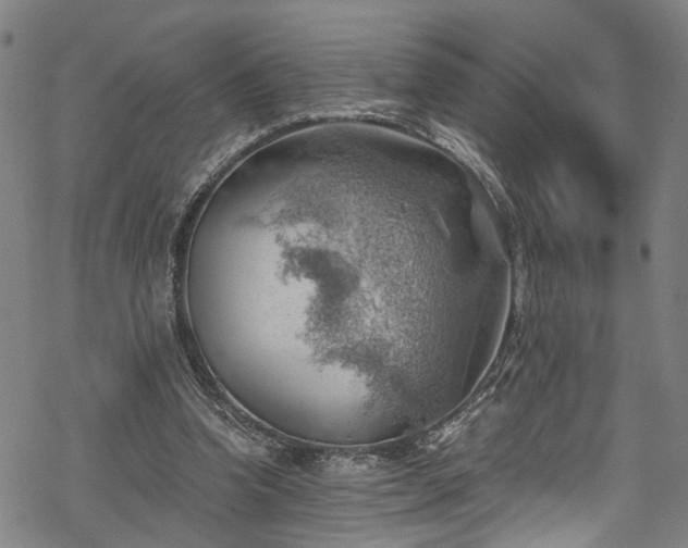 X0000068900346200605081351