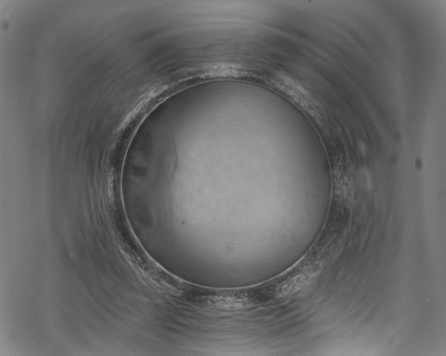 X0000068900347200605081351