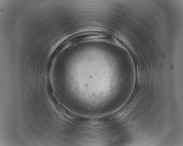 X0000068900348200605081351