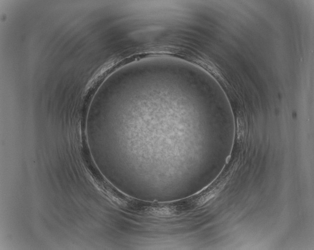 X0000068900349200605081351