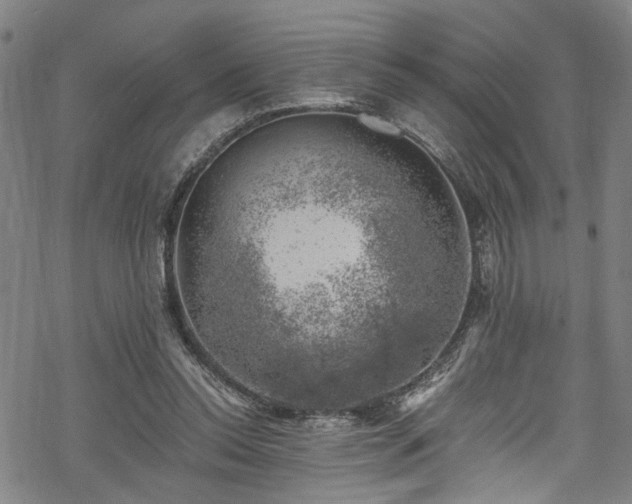 X0000068900350200605081351