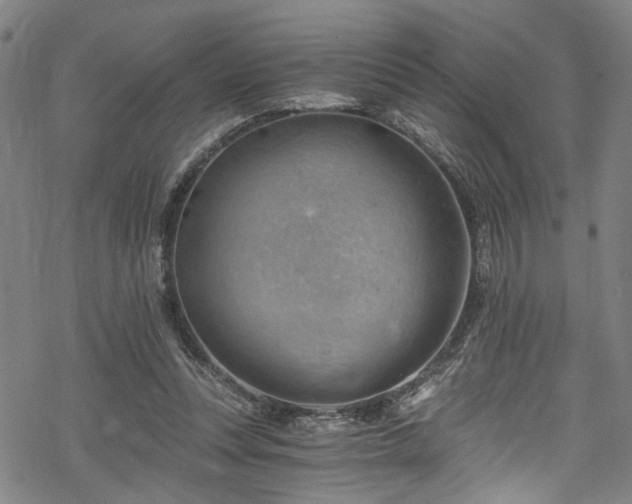 X0000068900351200605081351