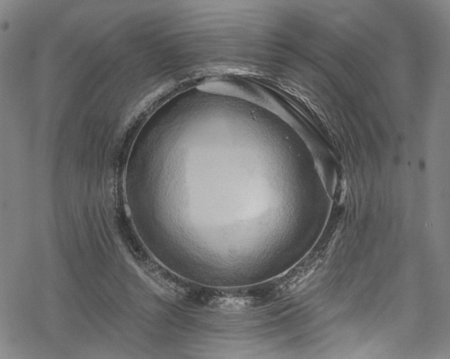 X0000068900352200605081351