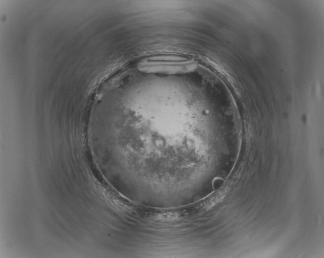 X0000068900353200605081351