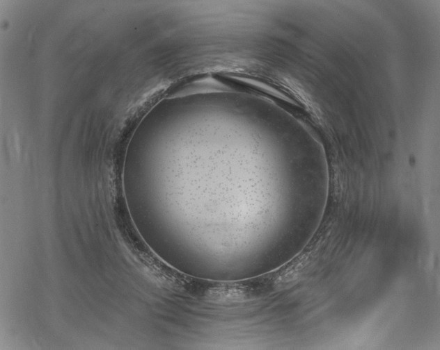 X0000068900354200605081351