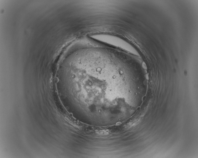 X0000068900355200605081351