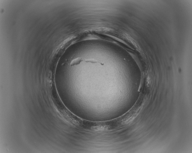 X0000068900356200605081351