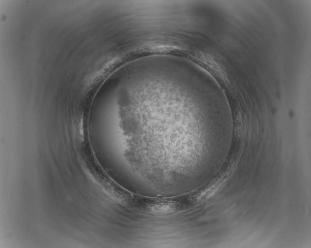 X0000068900358200605081351