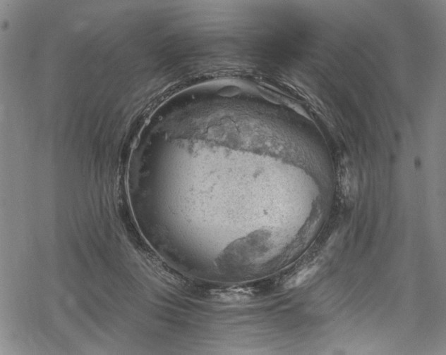 X0000068900359200605081351