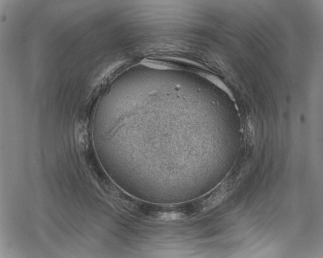 X0000068900360200605081351