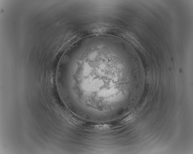 X0000068900363200605081351