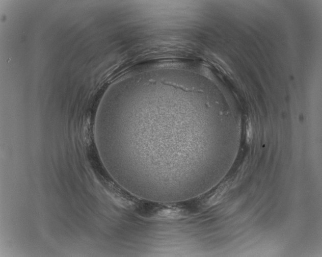 X0000068900364200605081351