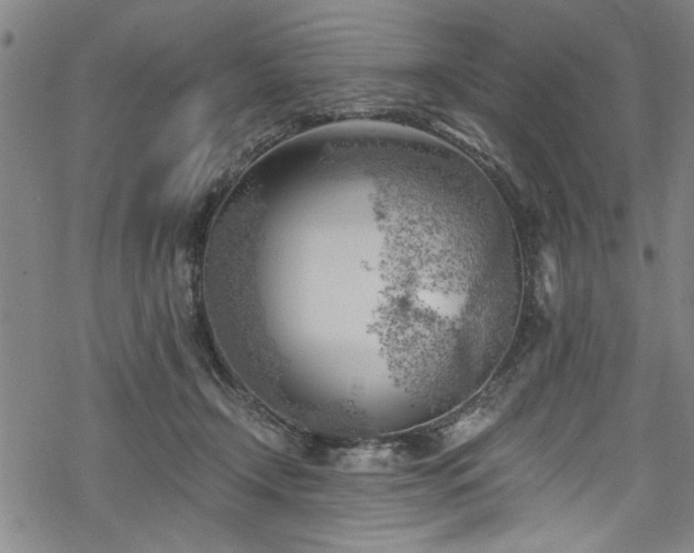 X0000068900366200605081351