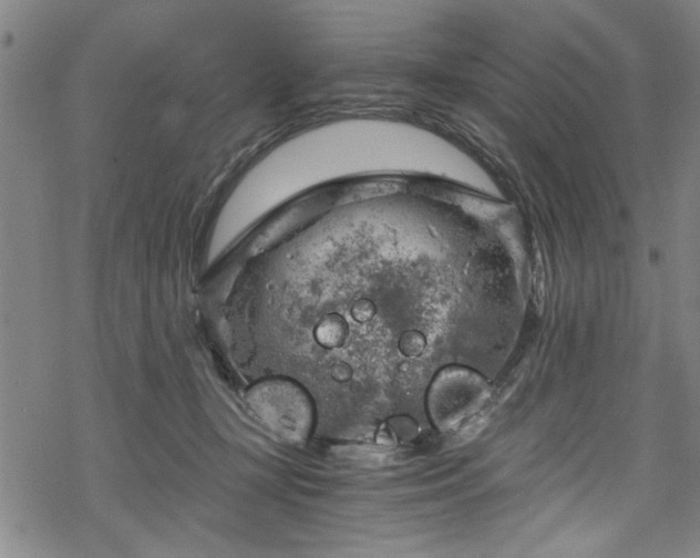 X0000068900367200605081351