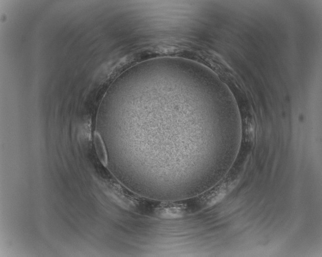 X0000068900368200605081351