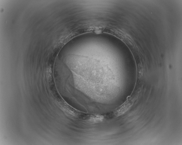 X0000068900369200605081351