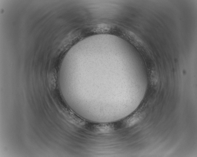 X0000068900370200605081351