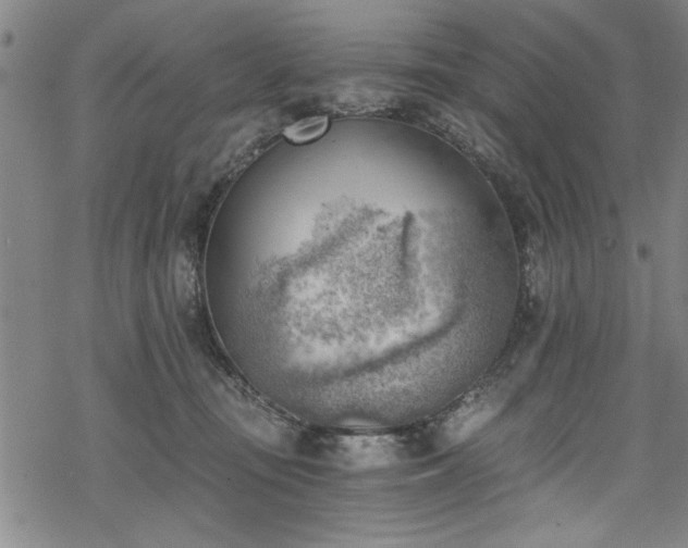 X0000068900371200605081351