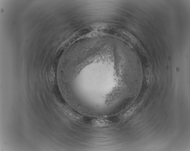 X0000068900372200605081351