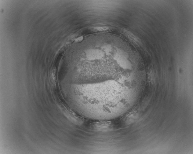 X0000068900373200605081351