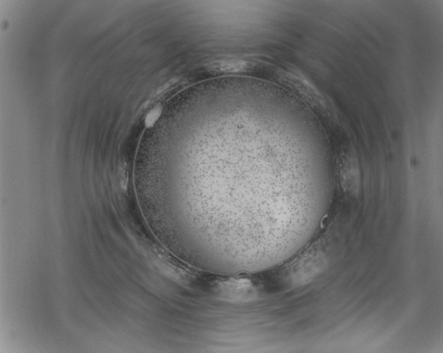 X0000068900374200605081351