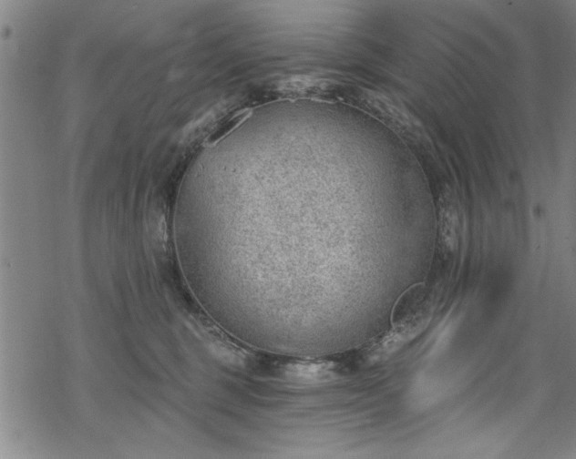 X0000068900375200605081351