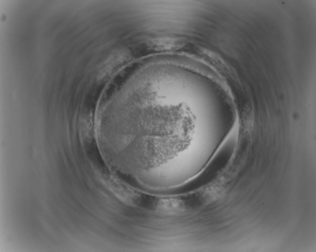 X0000068900376200605081351