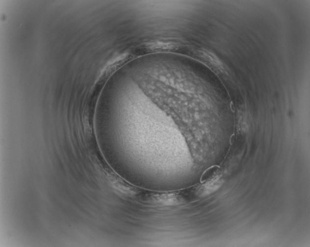 X0000068900377200605081351