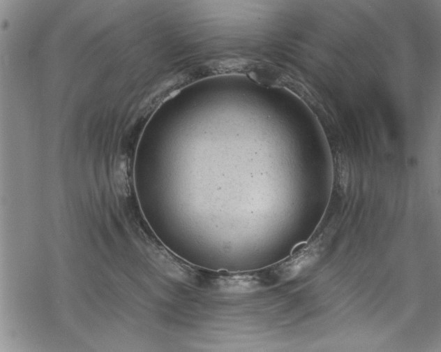 X0000068900378200605081351