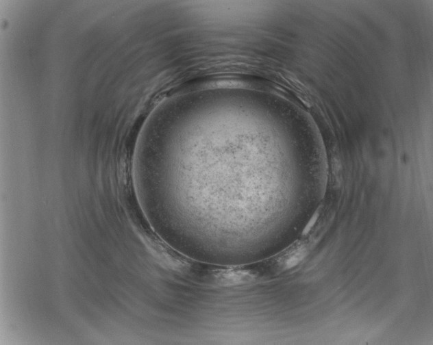 X0000068900379200605081351