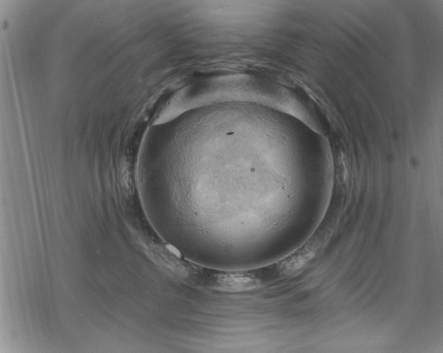 X0000068900380200605081351