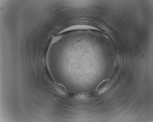 X0000068900381200605081351