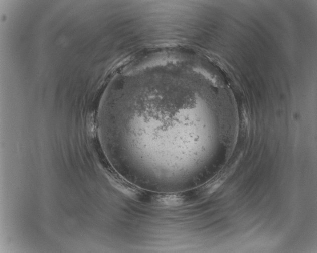 X0000068900383200605081352