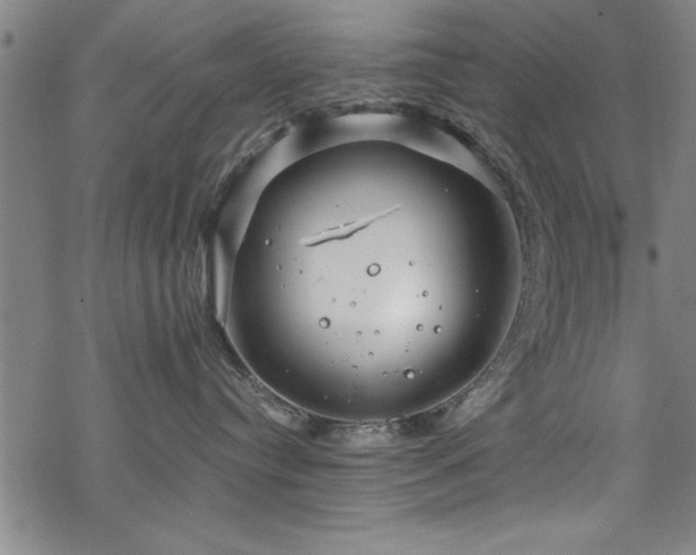 X0000068900384200605081352