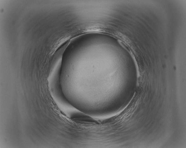 X0000068900385200605081351