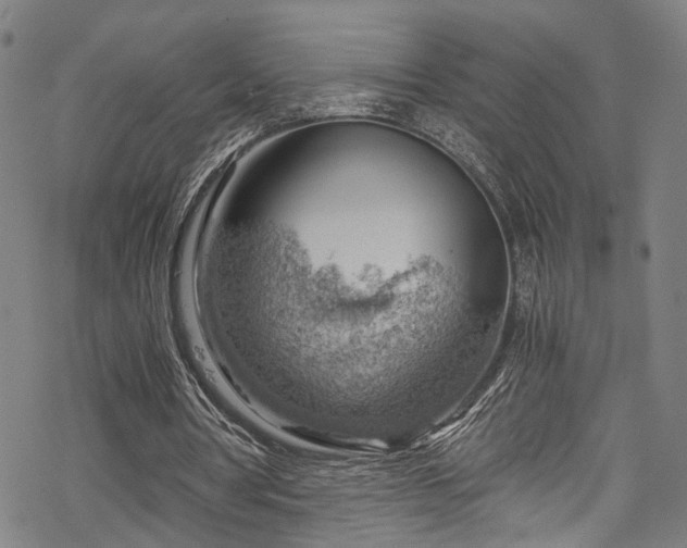 X0000068900386200605081351