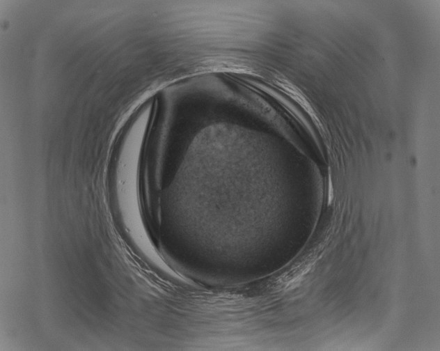 X0000068900387200605081351