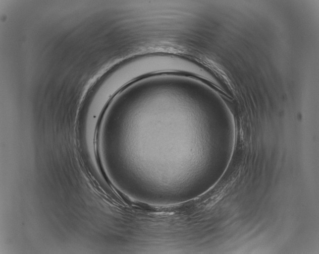 X0000068900388200605081351