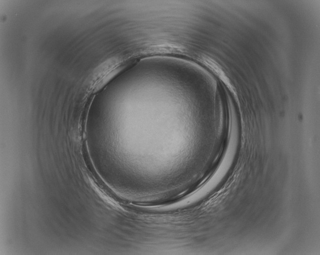 X0000068900389200605081351