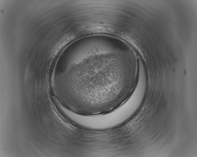 X0000068900390200605081351