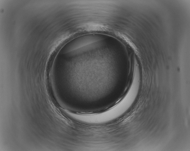 X0000068900391200605081351