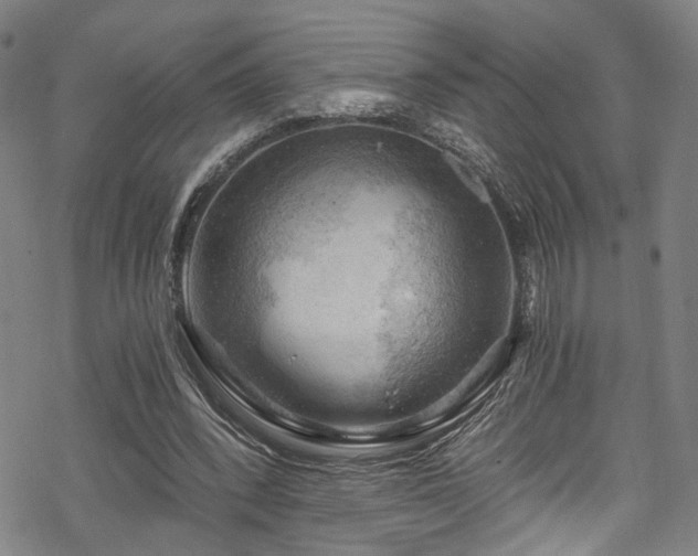 X0000068900392200605081351