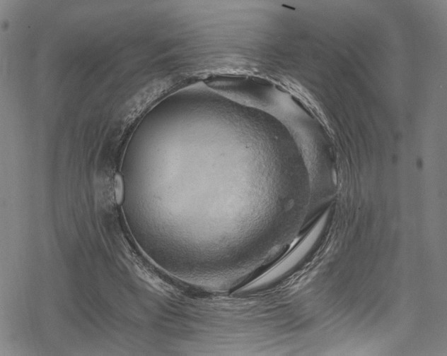 X0000068900393200605081351