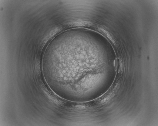 X0000068900394200605081351