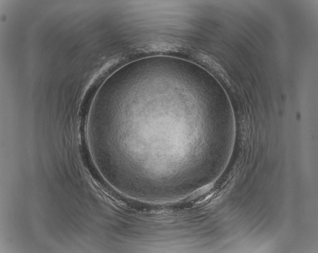 X0000068900395200605081351