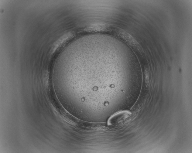 X0000068900396200605081351