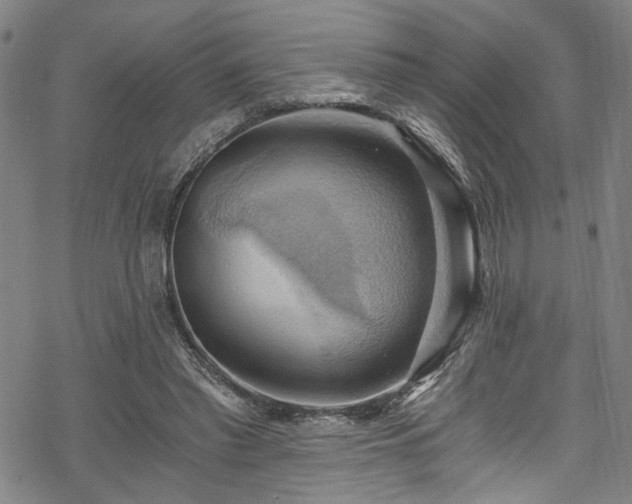 X0000068900397200605081350